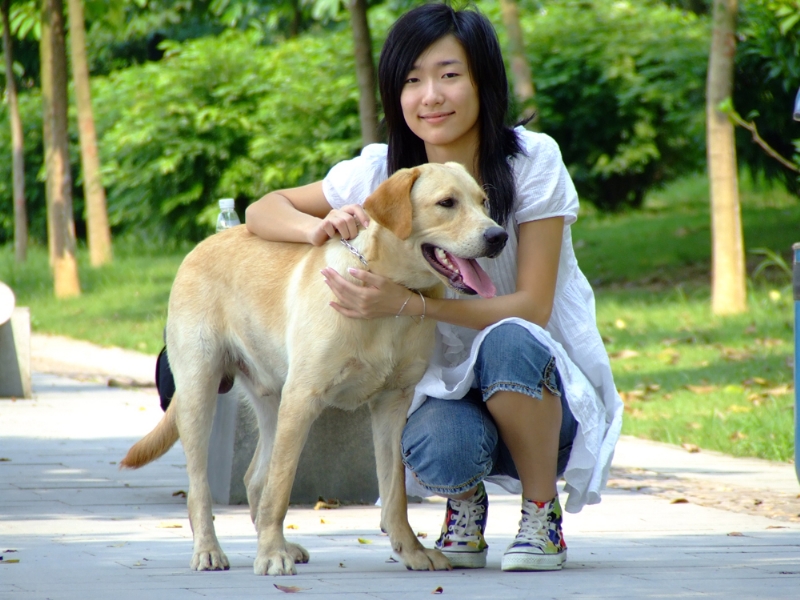 风中的绿叶的第一张照片--广州认干亲服务网
