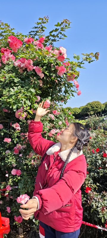 狗狗的第一张照片--广州认干亲服务网